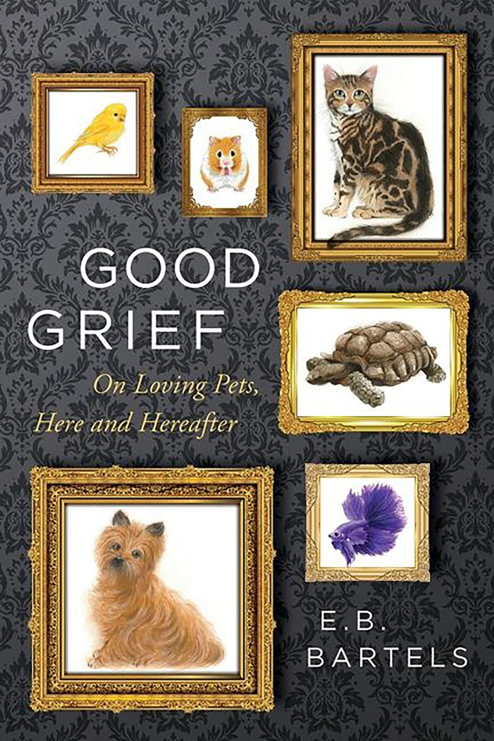 Why a pet’s loss of life hits so exhausting: New e book explores coping with the lack of a beloved companion