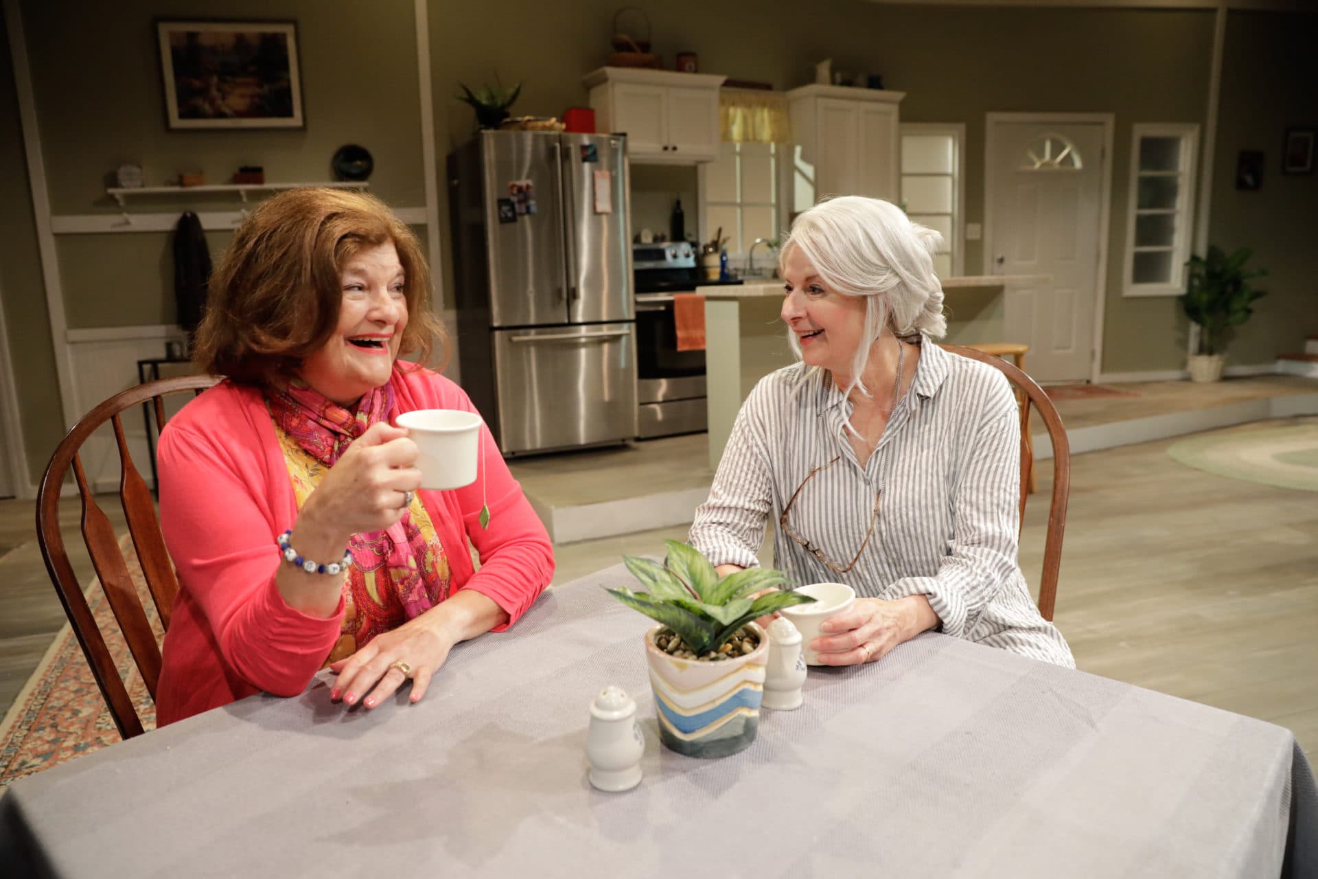 June Kfoury and Paula Plum in &quot;Grand Horizons&quot; at Gloucester Stage Company. (Courtesy Jason Grow)