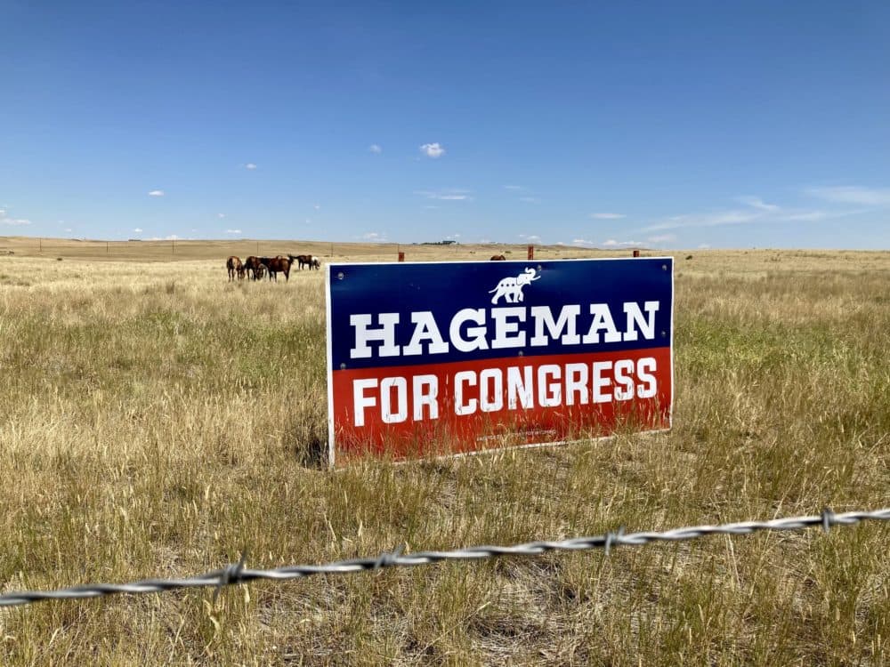 A campaign sign for Harriet Hageman near Douglas, Wyo. (Peter O'Dowd/ Here & Now)