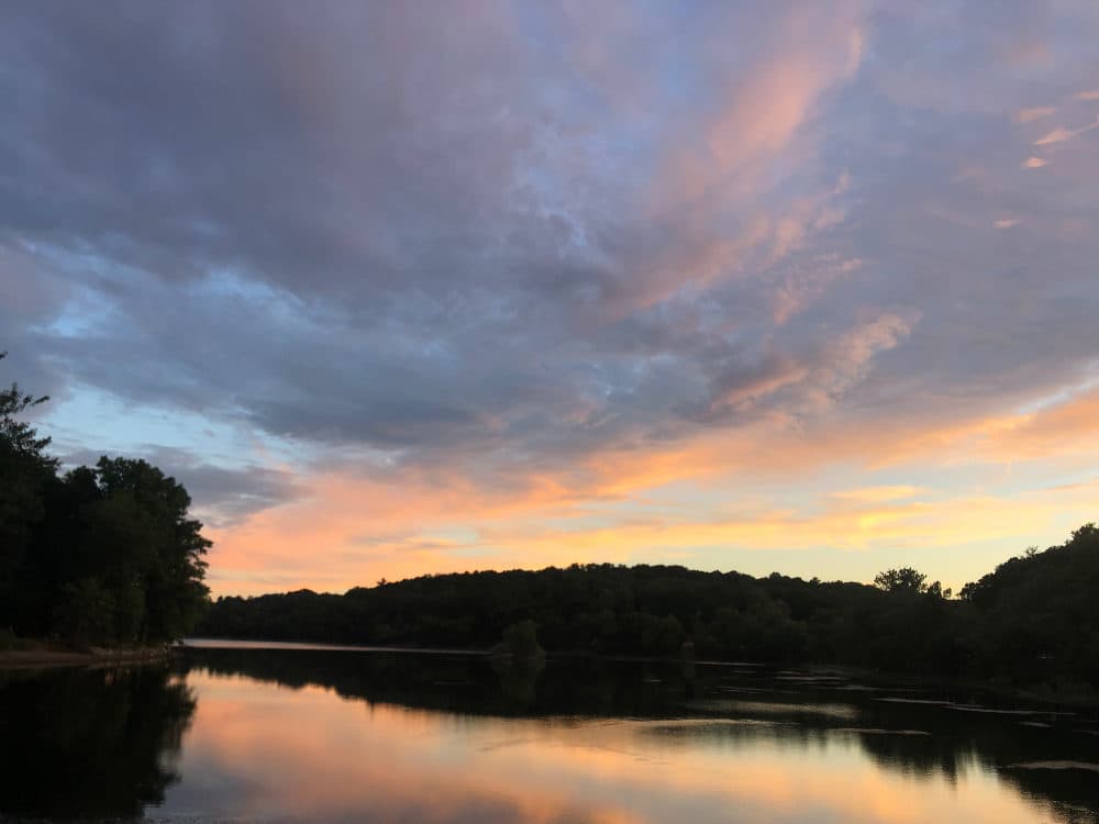 A photo taken by the author on a walk around Jamaica Pond. Jamaica Plain, MA. (Courtesy Neema Avashia)