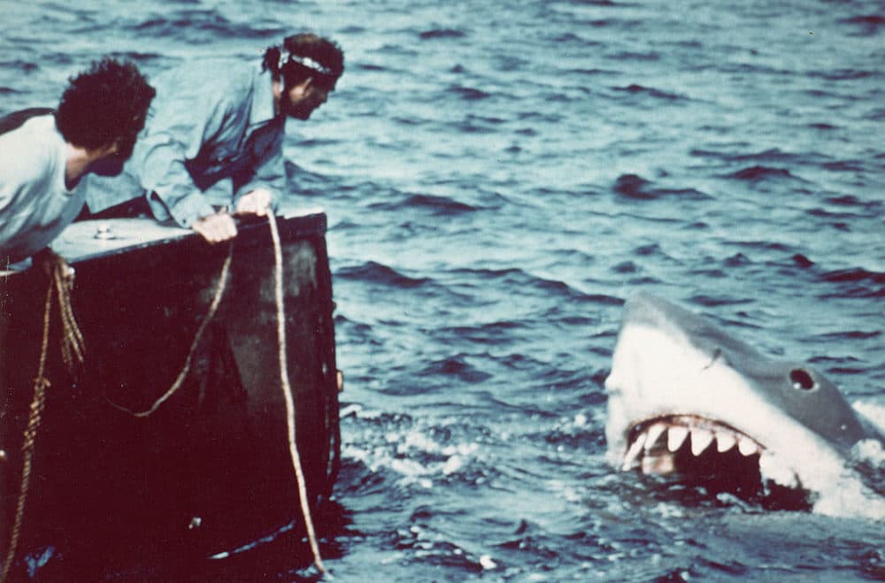 American actor Richard Dreyfuss (left) (as marine biologist Hooper) and British author and actor Robert Shaw (as shark fisherman Quint) look off the stern of Quint's fishing boat the 'Orca' at the terrifying approach of the mechanical giant shark dubbed 'Bruce' in a scene from the film 'Jaws' directed by Steven Spielberg, 1975. (Photo by Universal Pictures courtesy of Getty Images)