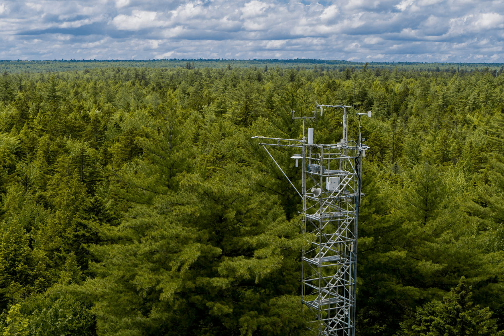 The view from the main tower at the Howland Research Forest. (Courtesy Kris Bridges)