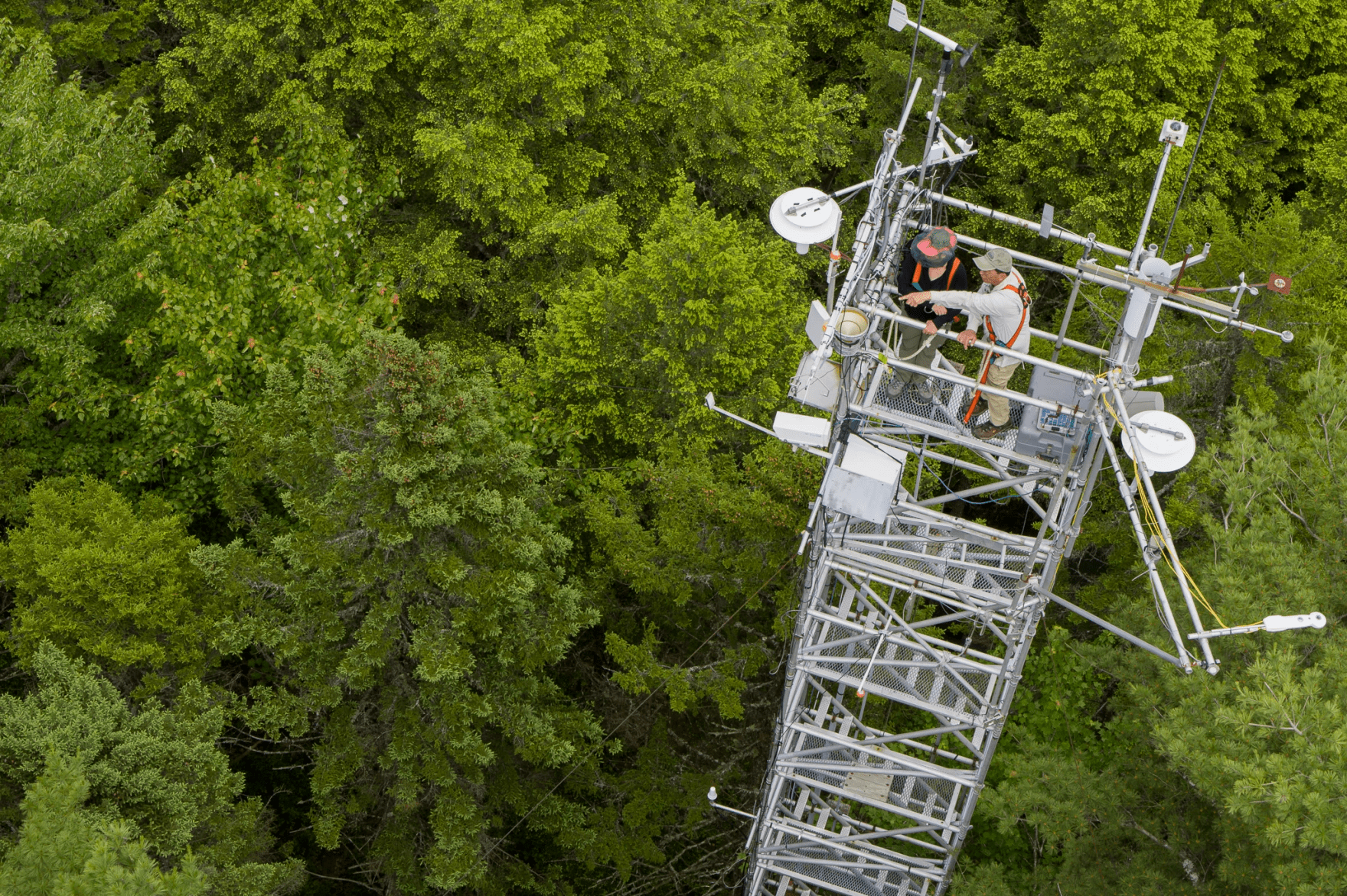 John Lee (right), a University of Maine research associate who manages the Howland Research Forest, at the top of its main research tower with Maine Public's Susan Sharon. (Courtesy Kris Bridges)
