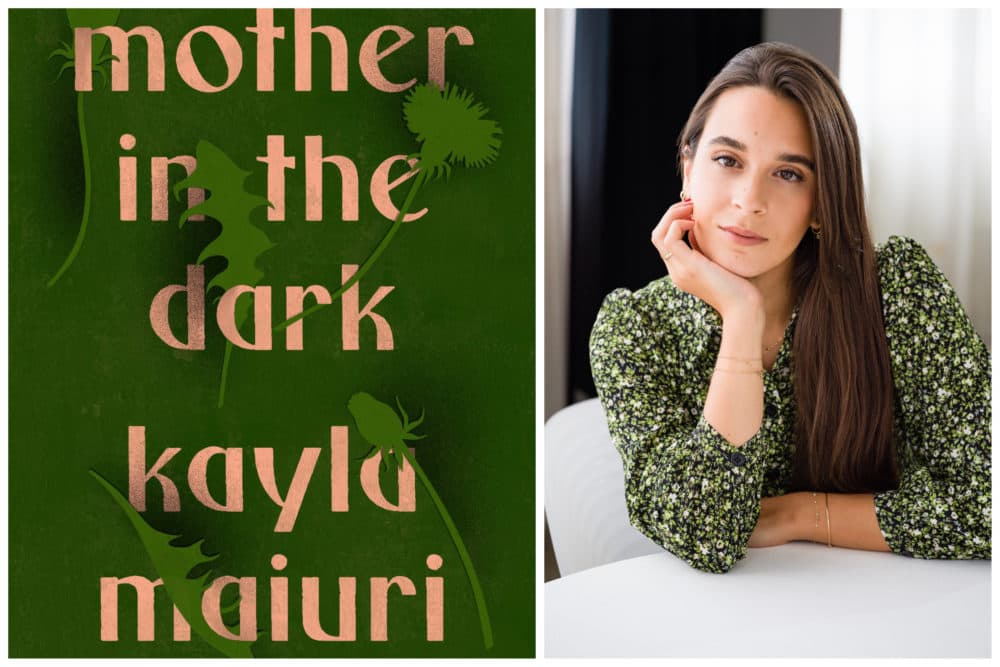 Set in Everett and Topsfield, Kayla Maiuri’s novel &quot;Mother in the Dark&quot; deals with a family's battle with mental illness. (Courtesy Riverhead Books/Nina Subin)