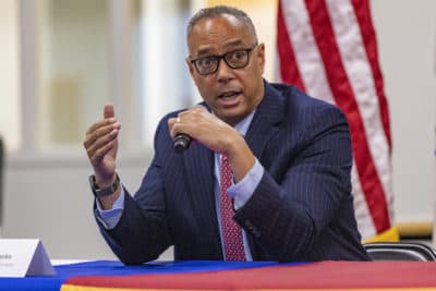 Hayden wins nasty Suffolk DA primary