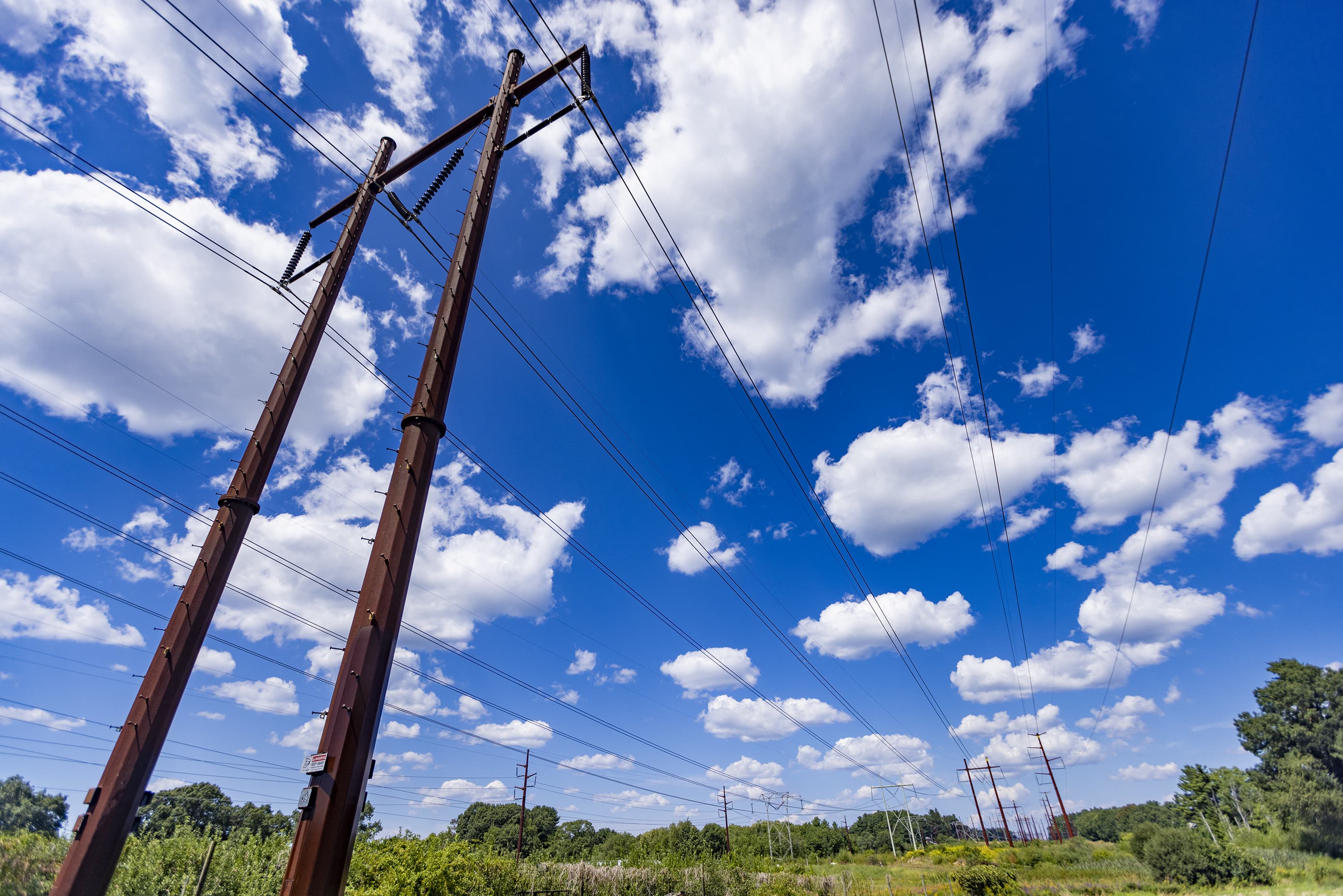 Electrical lines in Dracut, Massachusetts (Jesse Costa/WBUR)