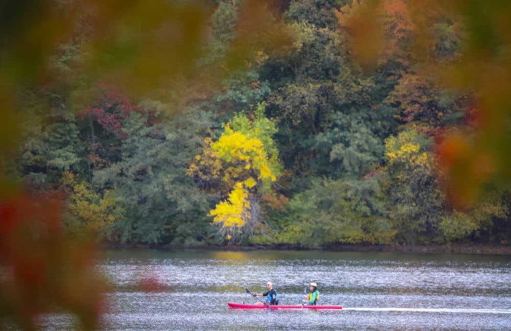 Kayakers paddle on the Lower Mystic Lake framed in the fall foliage in Arlington, on Oct. 20, 2020. (Matthew J. Lee/The Boston Globe via Getty Images)