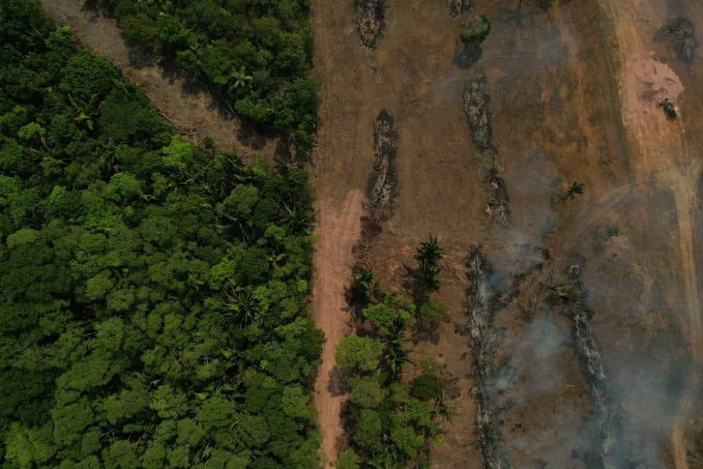 Aerial view of a burnt area in the Amazon rainforest, near Porto Velho, state of Rondonia, northern Brazil, on August 31, 2022. (Douglas Magno/AFP via Getty Images)