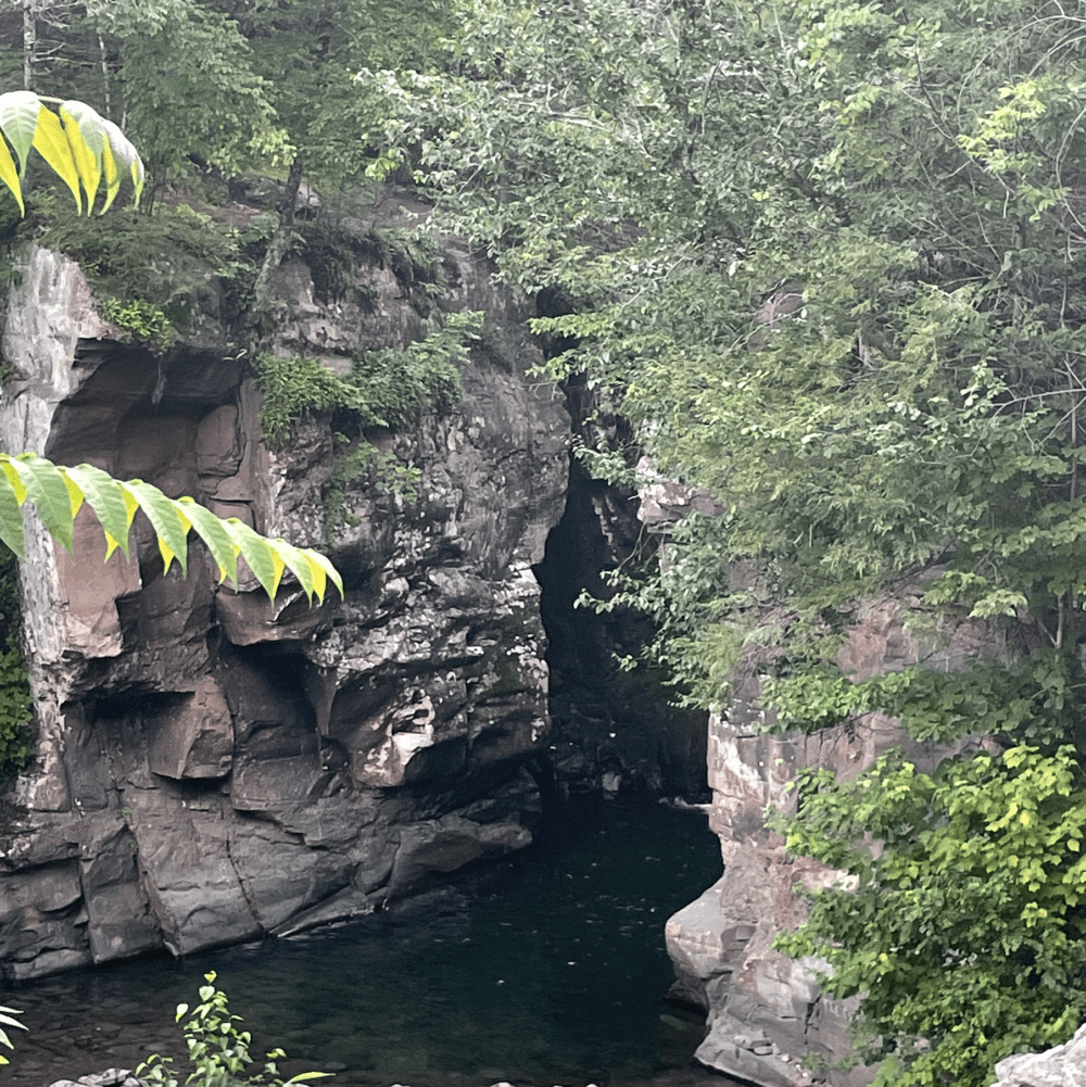 Swimming Hole: The man, the myth, the leap - Vimarsana News