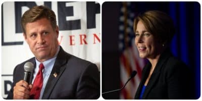 What to know about the Mass. state primary results