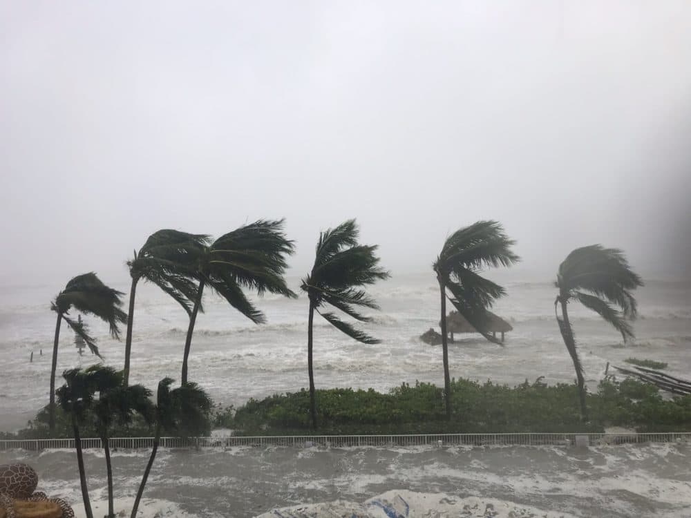 As Hurricane Ian picks up, pool chairs and tiki huts at Pink Shell Resort & Marina on Fort Myers Beach are swept away. (John Betts)