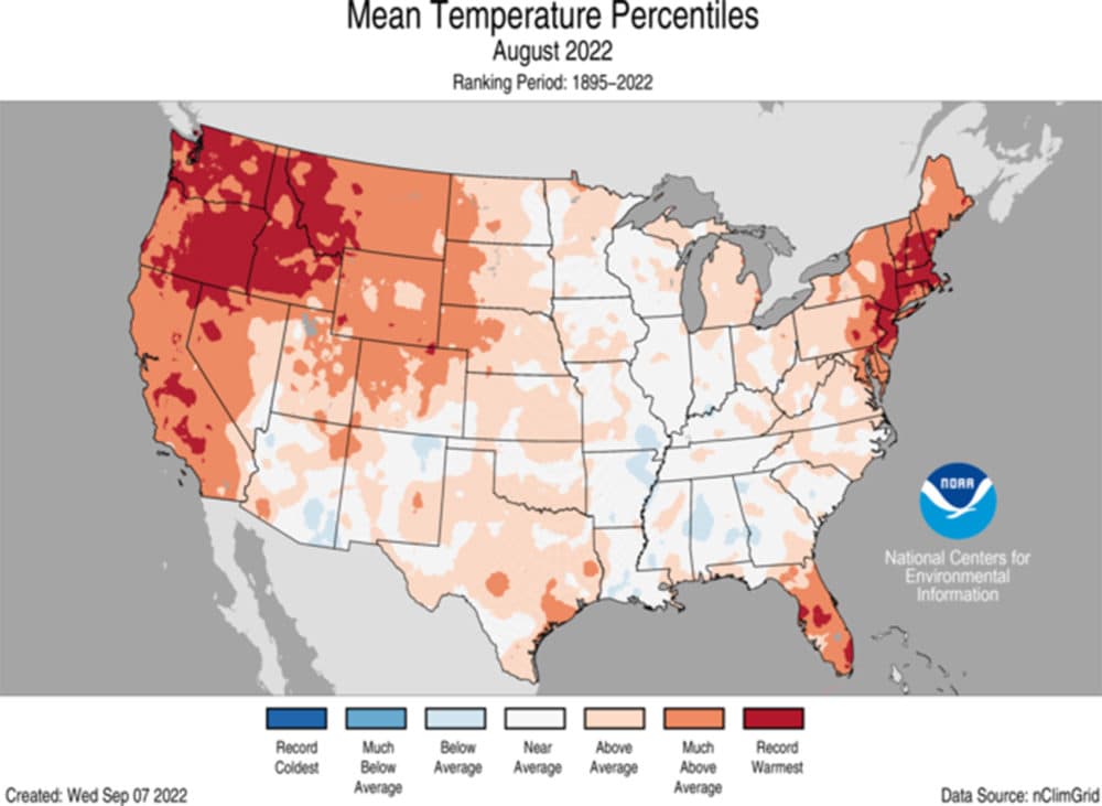 Average temperatures in the U.S. in August 2022. (NOAA)