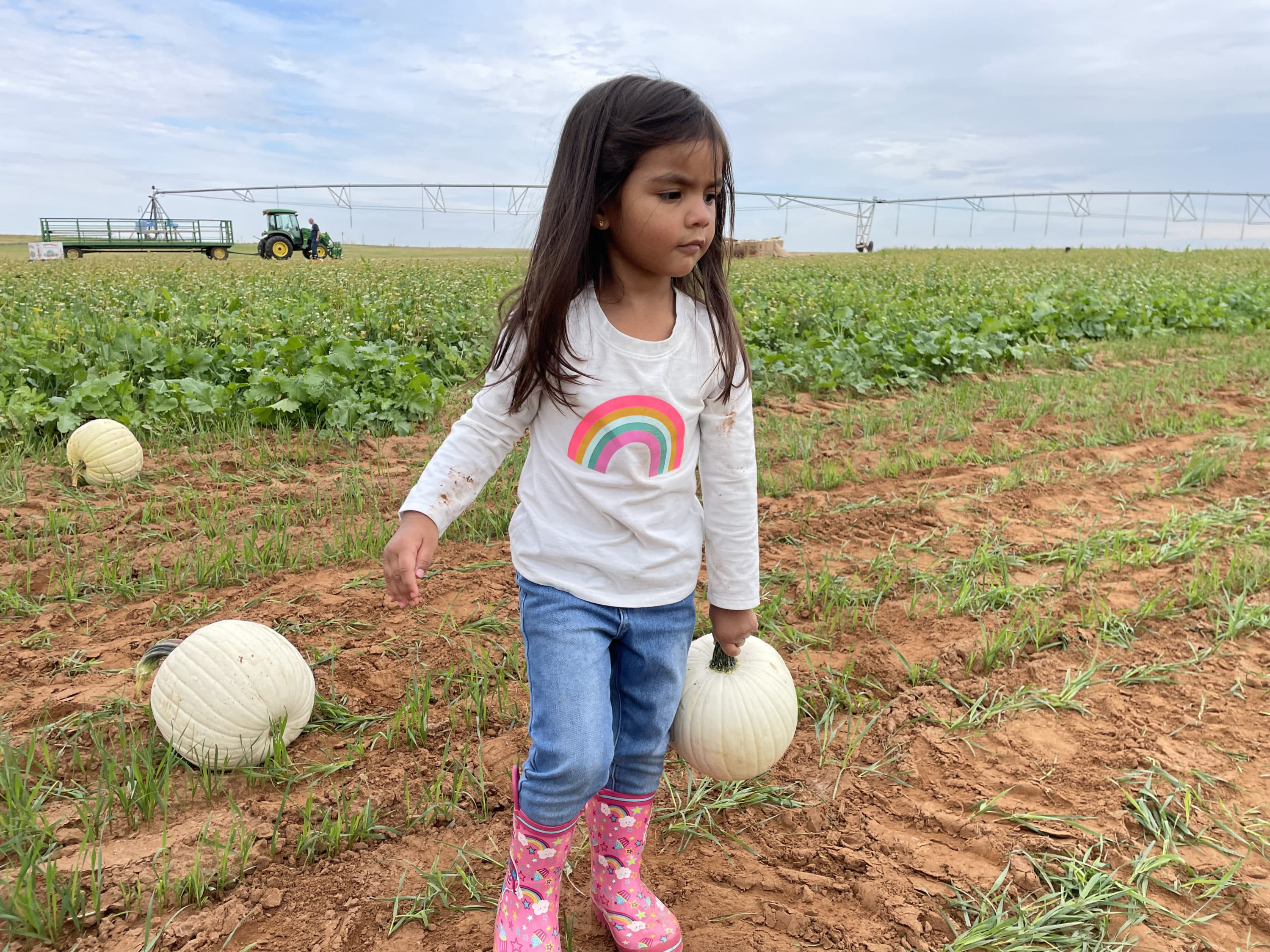 Three-year-old Ava picked out her first pumpkin from Loren Liebscher's pumpkin patch. (Xcaret Nuñez/Harvest Public Media) 