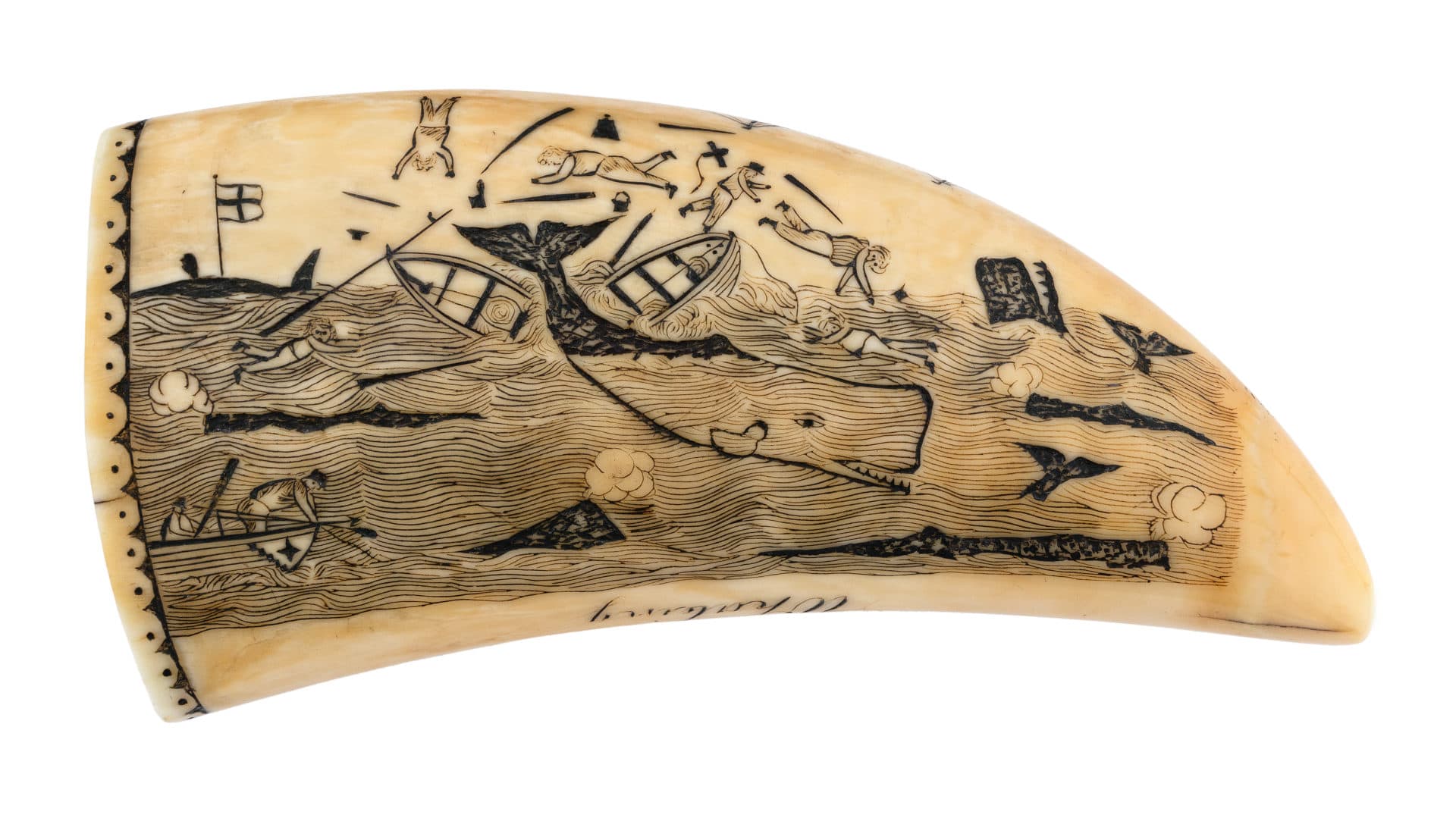 Britannia Engraver, &quot;The Ship Charles of London Whaling,&quot; c. 1850s, whale tooth, pigment, 5.25 inches. (Courtesy Cahoon Museum of American Art)