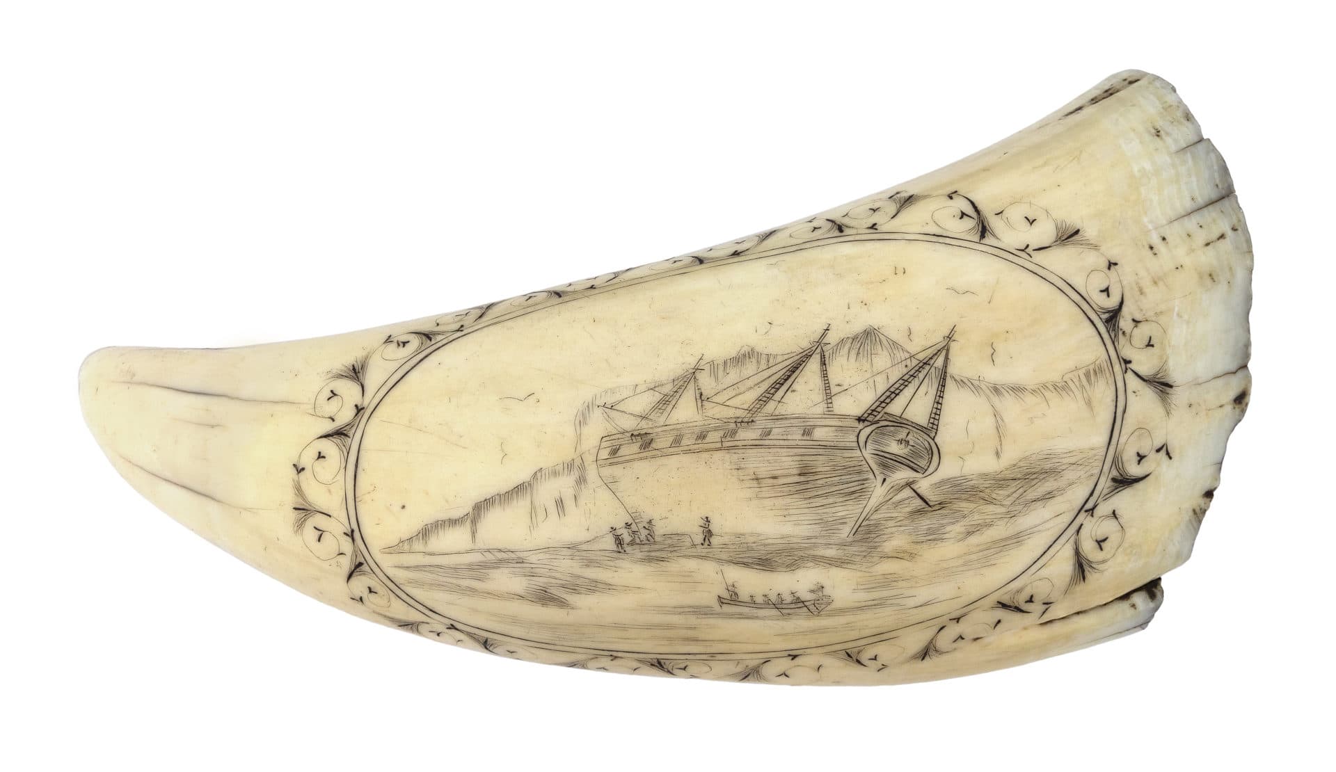 James Adolphus Bute, &quot;Darwin Expedition,&quot; 1834, whale tooth, pigment. (Courtesy Cahoon Museum of American Art)