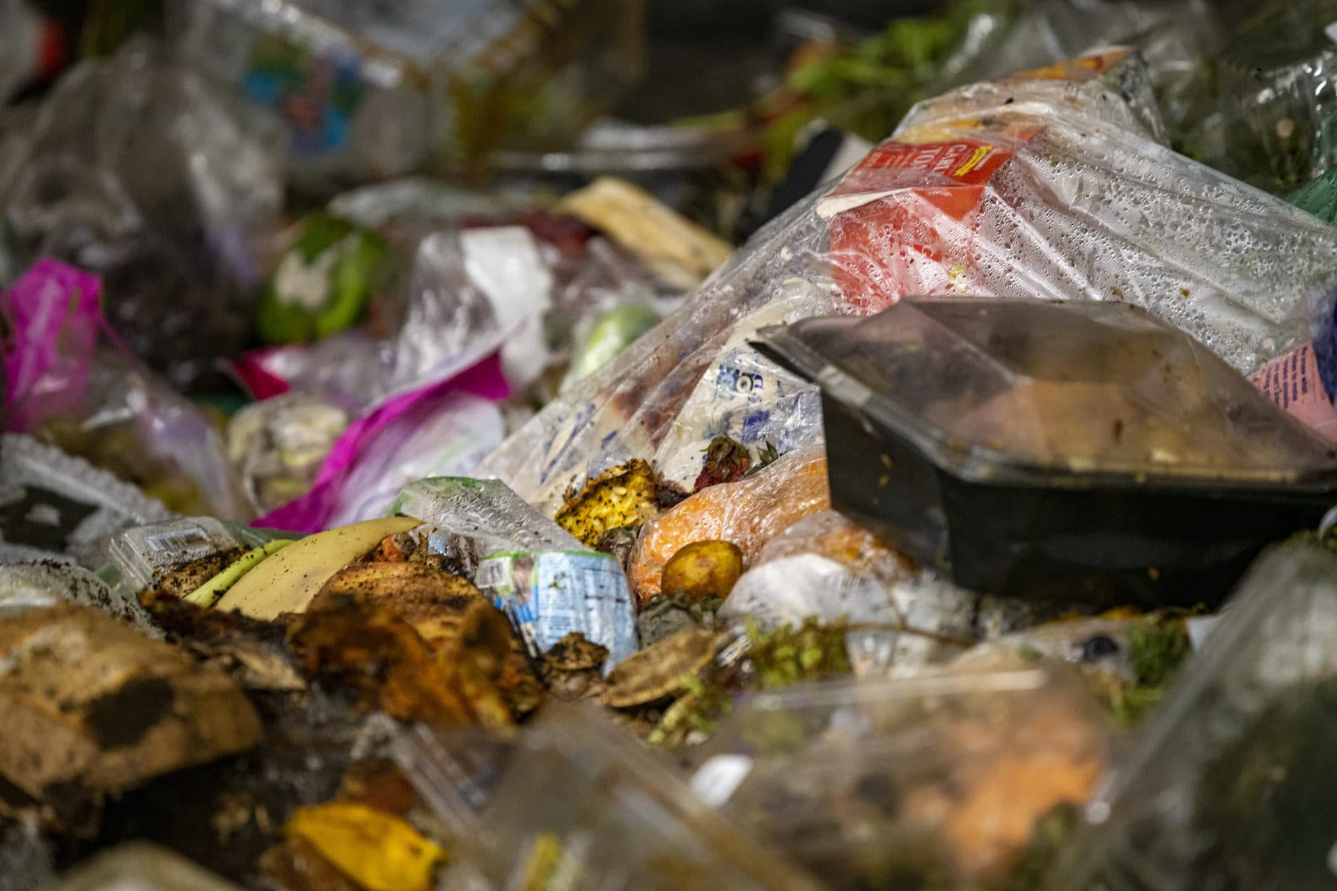 Food waste to be processed at the Vanguard Renewables Organics Recycling Facility in Agawam. (Jesse Costa/WBUR)