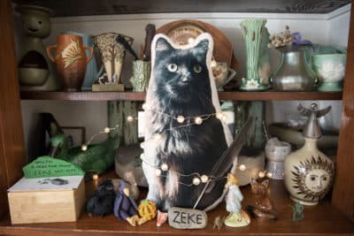 Bebergal set up his experiment in his dining room, which also has a shrine dedicated to his deceased cat Zeke, &quot;a very fine fellow.&quot; (Robin Lubbock/WBUR)