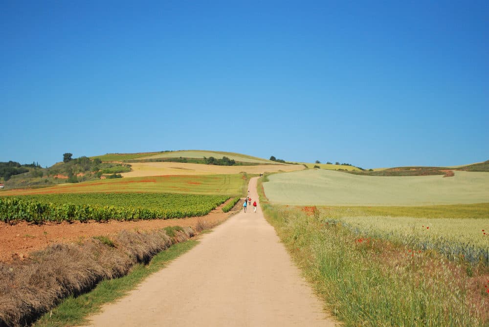 On the hiking trail of the Camino de Santiago, 2010. (Courtesy Anne Gardner)