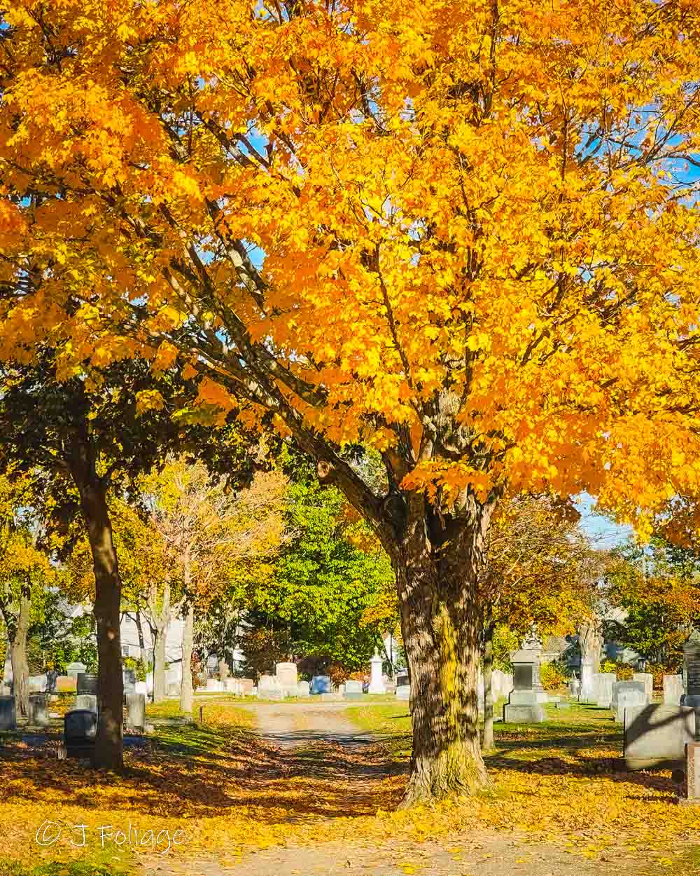 Eastern Cemetery in Gorham, Maine. (Photo courtesy Jeff Folger)