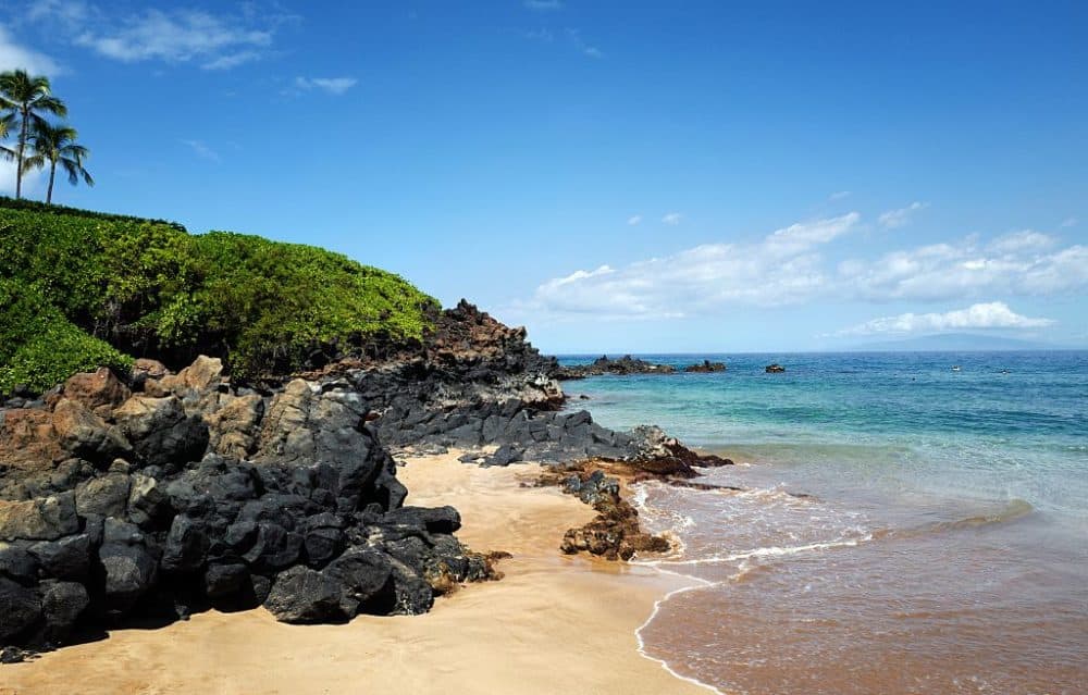 Volcanic rock formation with vegetation on Wailea beach in Hawaii in 2016. (Smith Collection/Gado/Getty Images).