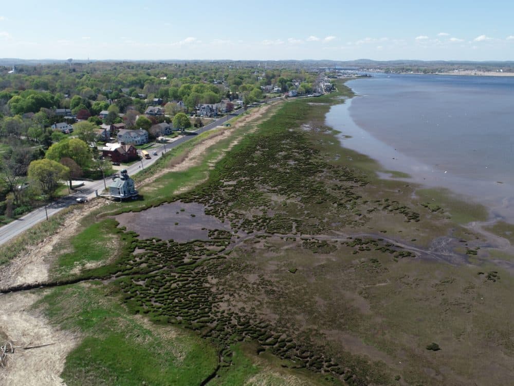 The degraded salt marsh at Joppa Flats in Newburyport in May, 2022. (.Courtesy Stephen Young)