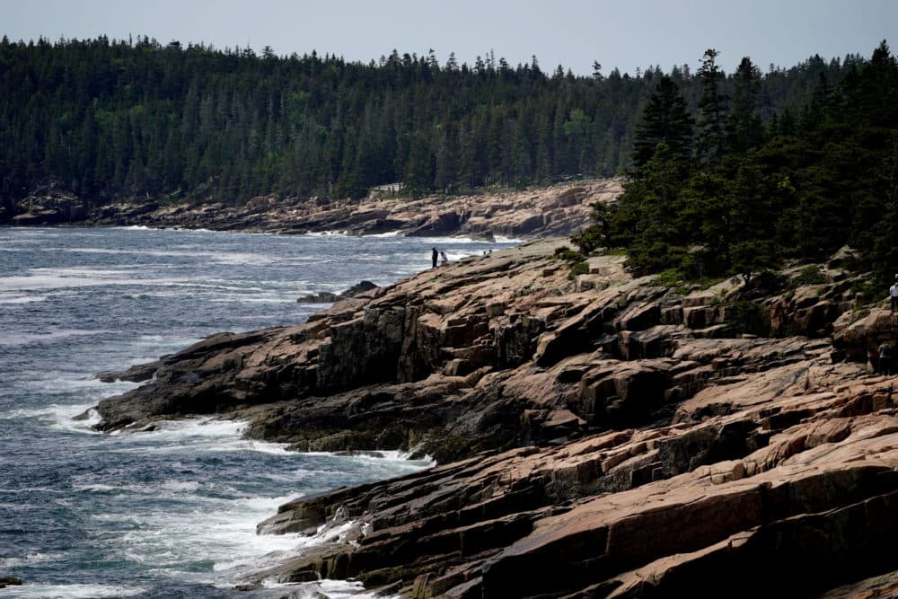 Acadia National Park considering higher entrance fees for next year - Vimarsana News