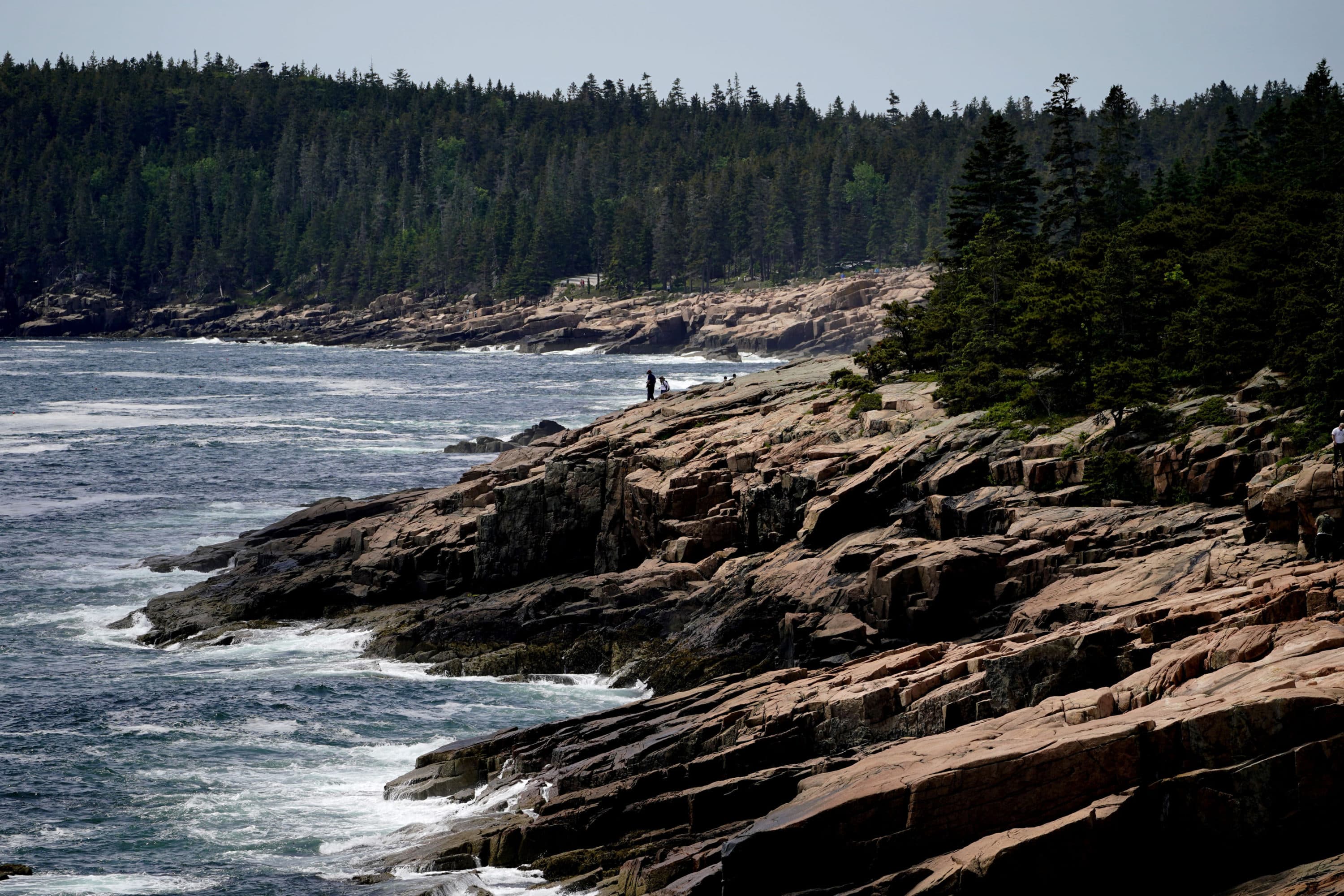 Visitors explore the rocky coast of Acadia National Park in 2022. (Robert F. Bukaty/AP)