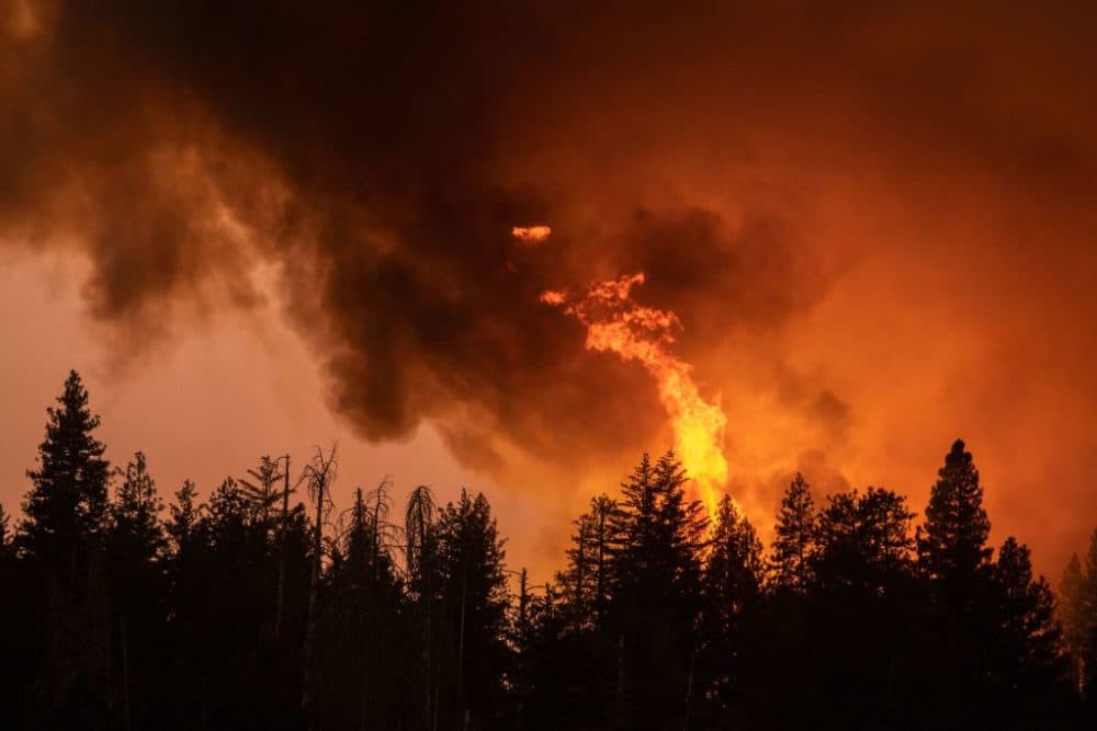 A forest is incinerated by the Oak Fire near Midpines, northeast of Mariposa, California, on July 23, 2022. (DAVID MCNEW/AFP via Getty Images)