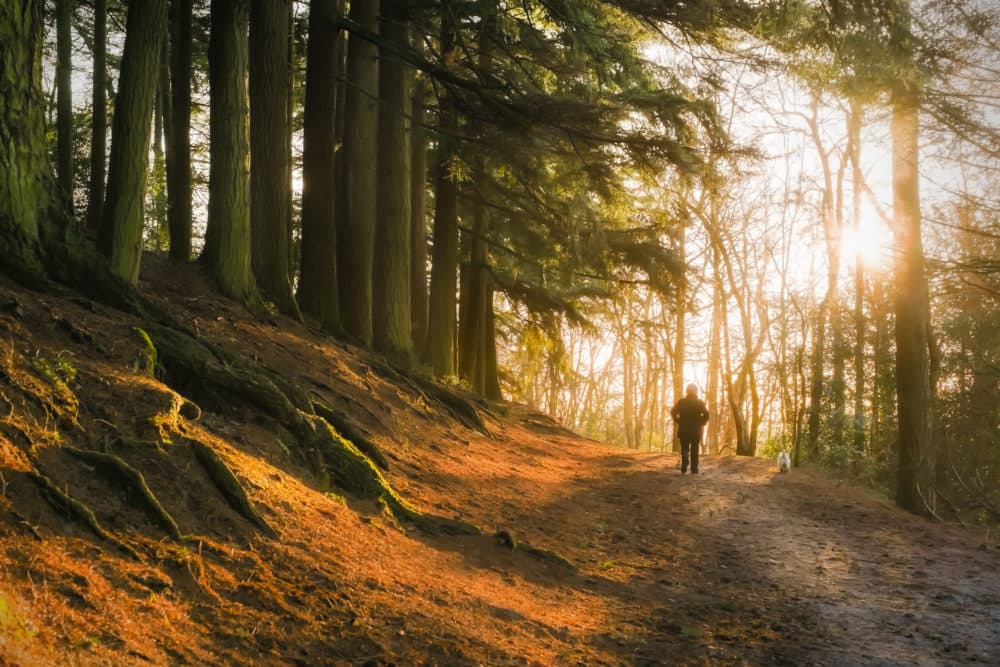 "'Pray for boring days,' my grandmother used to say. I never really knew what she meant. Now, I think I do," writes Holly Robinson. (Getty Images)