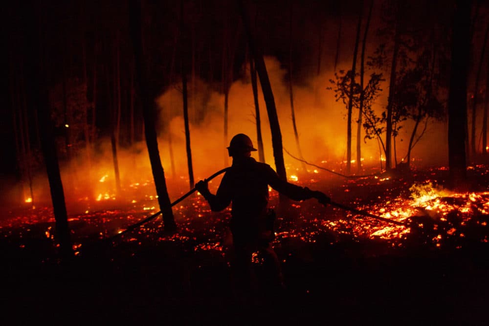 A firefighter from the National Republican Guard GIPS works on a fire in a forest after a wildfire took dozens of lives on June 19, 2017 near Pedrogao Grande, in Leiria district, Portugal. (Pablo Blazquez Dominguez/Getty Images)