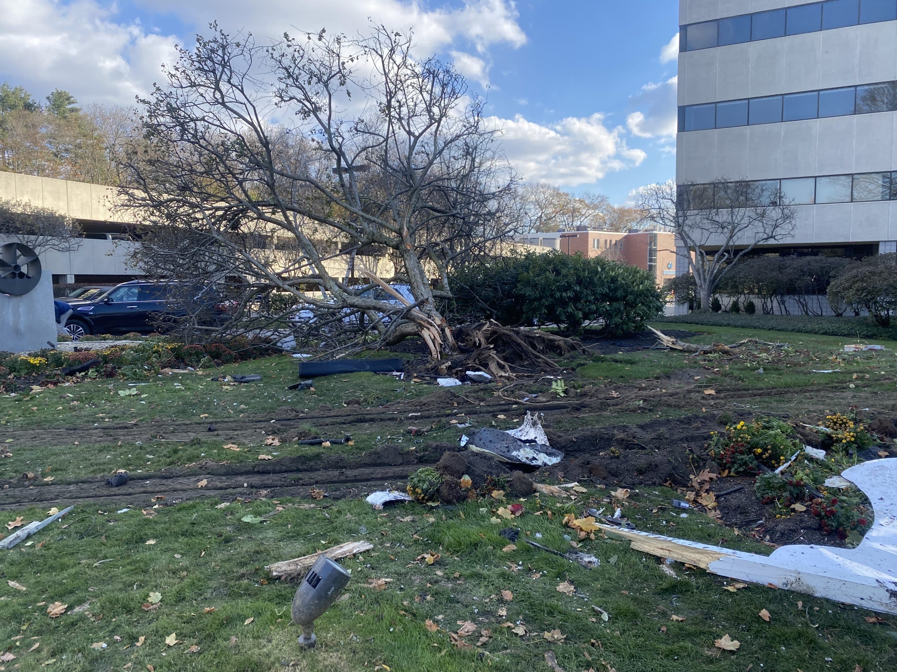 The scene of the Brandeis University shuttle bus crash photographed Sunday morning. (Walter Wuthmann/WBUR)