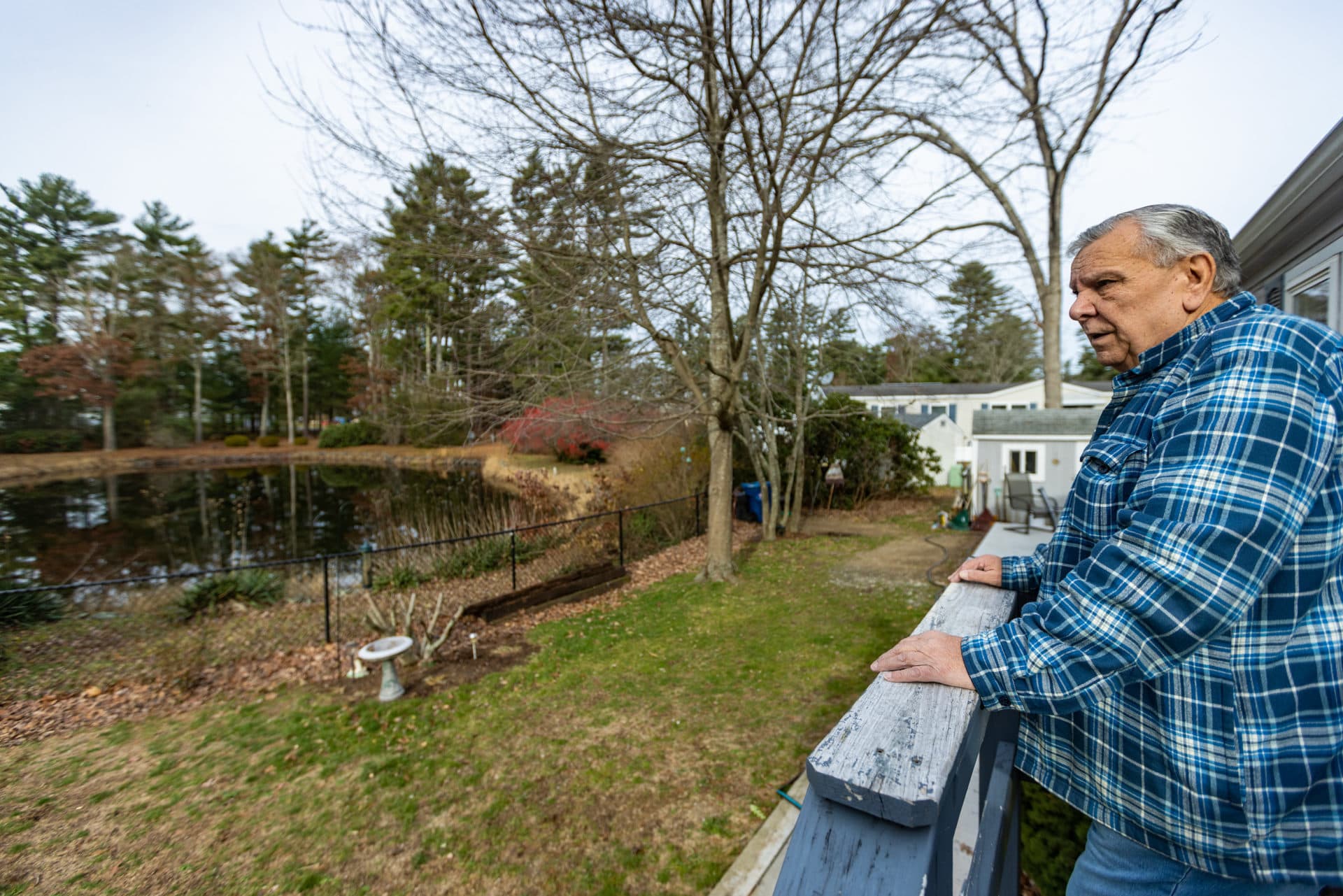 Bob Costa mira el estanque detrás de su casa en Royal Crest. (Jesse Costa/WBUR)