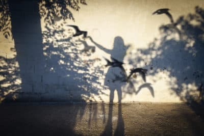 Cognoscenti’s most-read stories of all time