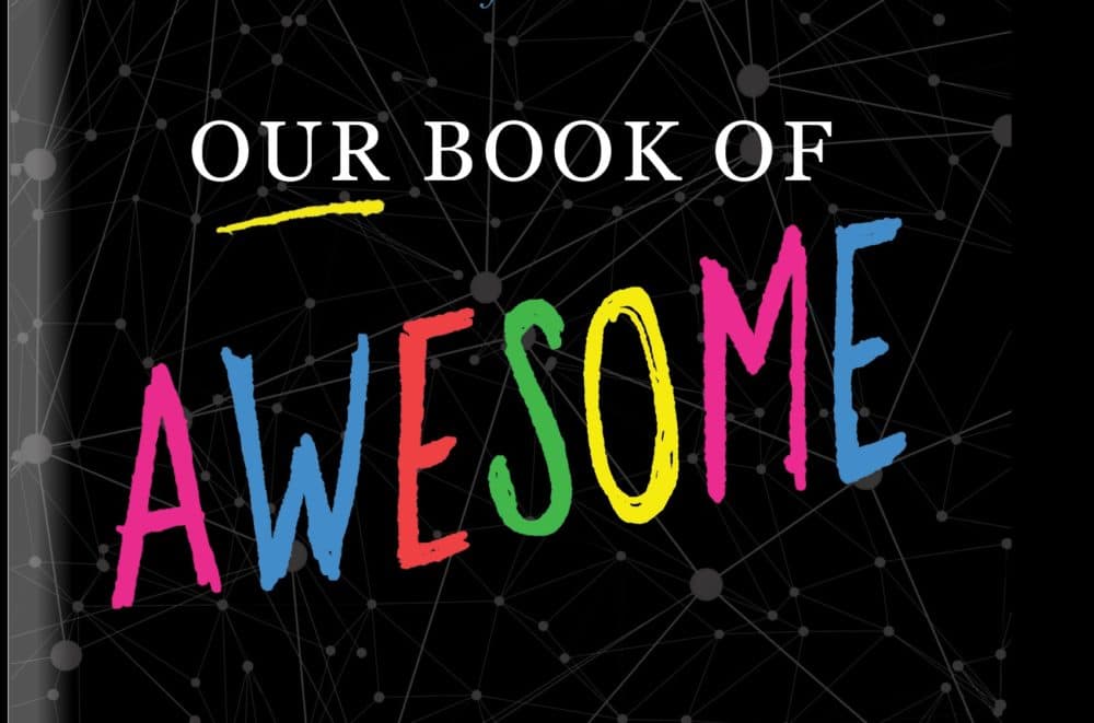 &quot;Our Book of Awesome&quot; cover. (Leia Vita)