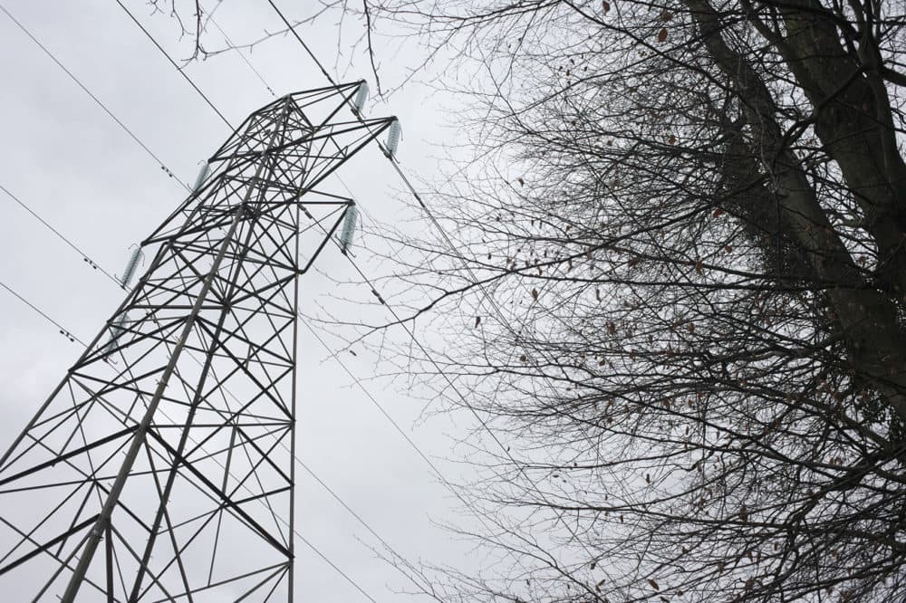 New England's grid is expected to be reliable this winter, but a cold snap could cause issues - Vimarsana News