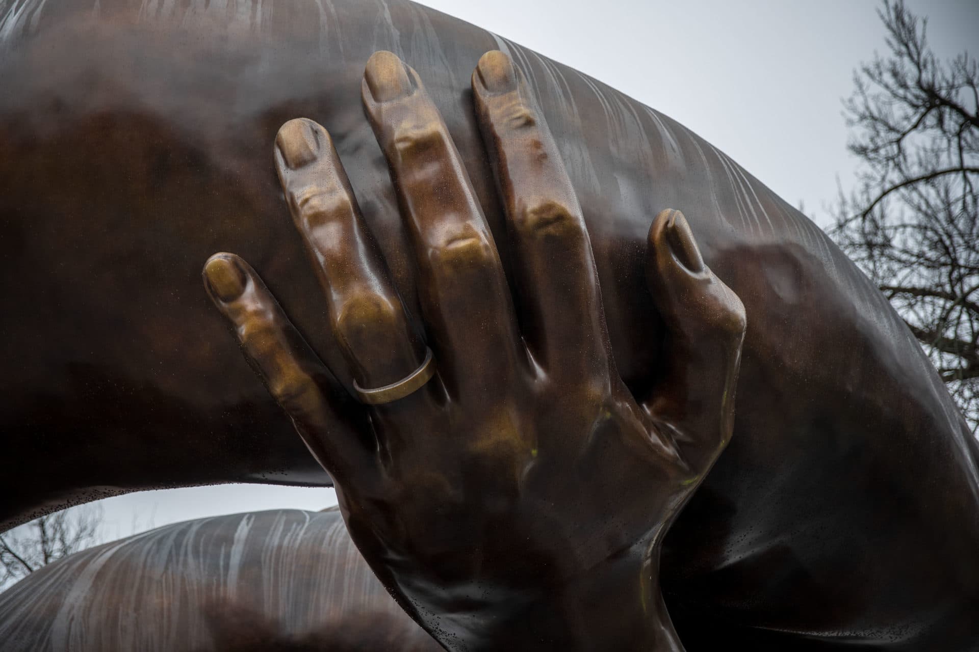 Coretta Scott King's left hand, depicted in the Embrace sculpture on Boston Common. (Robin Lubbock/WBUR)