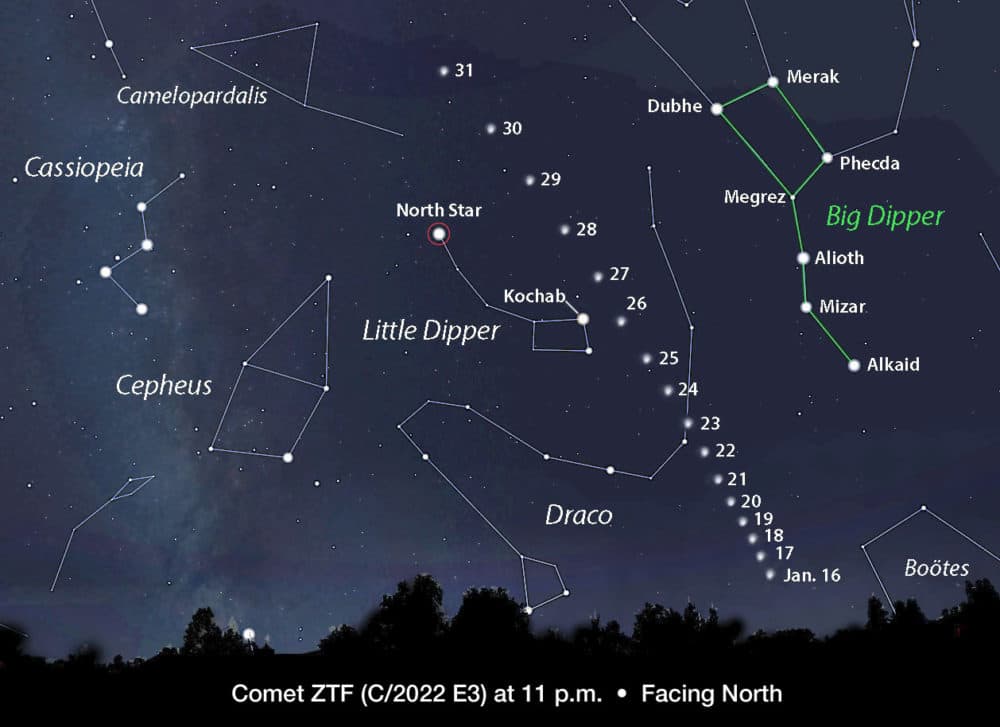 View Comet 2025 Annabelle Perkin J 
