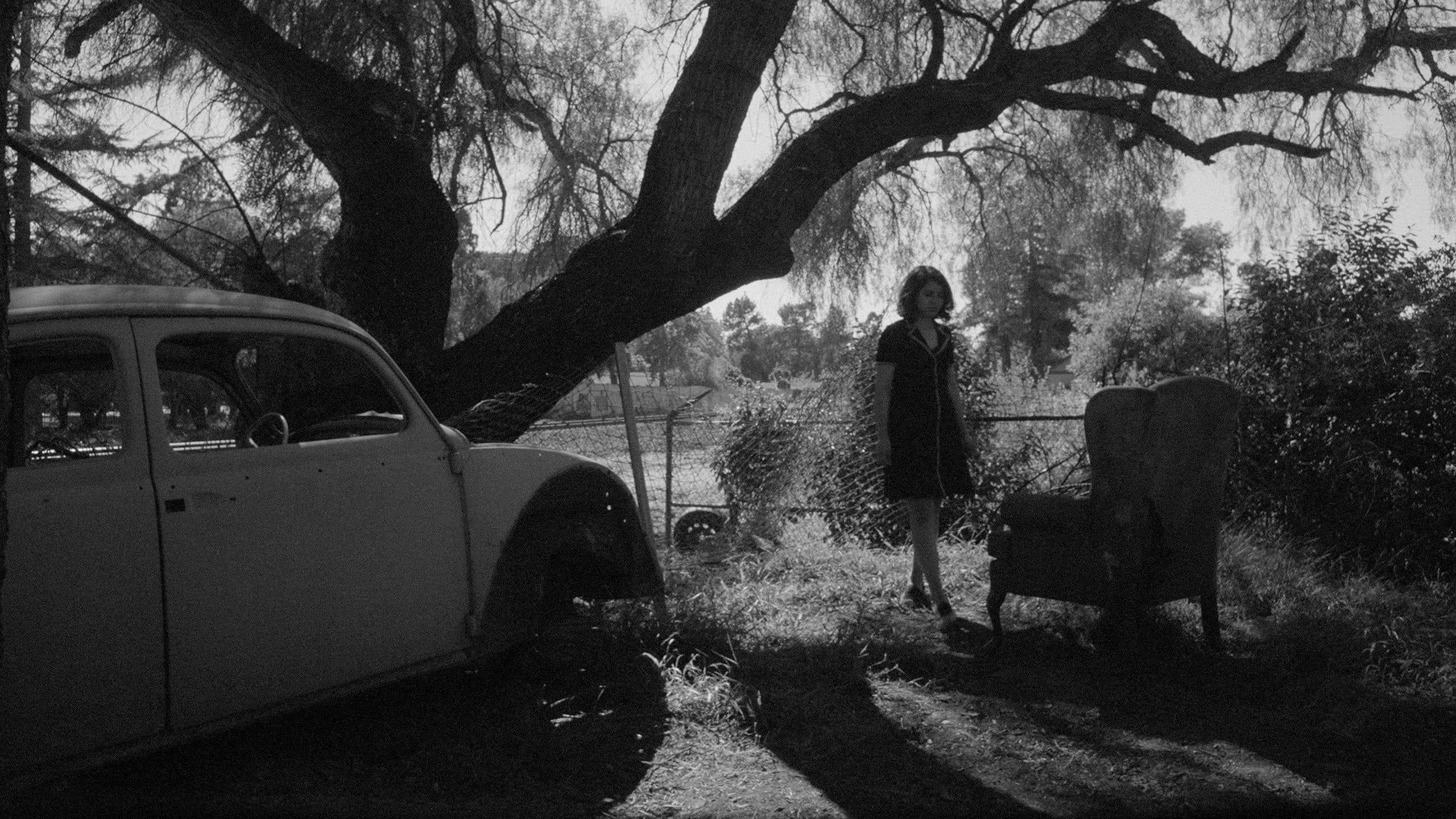 Anaita Wali Zada in "Fremont" by Babak Jalali. Courtesy of Laura Valladao/Sundance Institute)