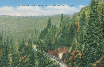 Earth's growing population: 'A direct affront to our own survival'