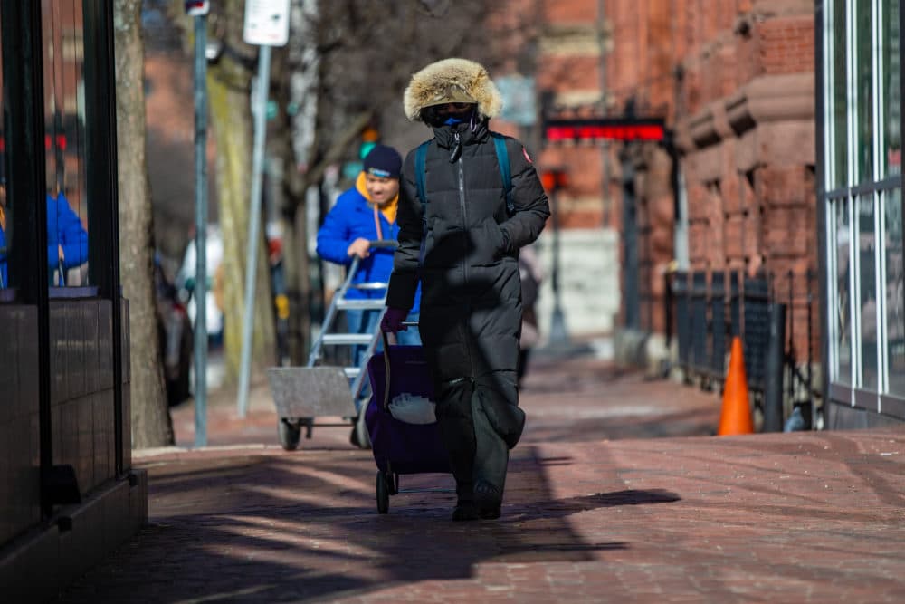 A woman is bundled up as she walks in the bitter cold down Dartmouth Street in Copley Square. (Jesse Costa/WBUR)