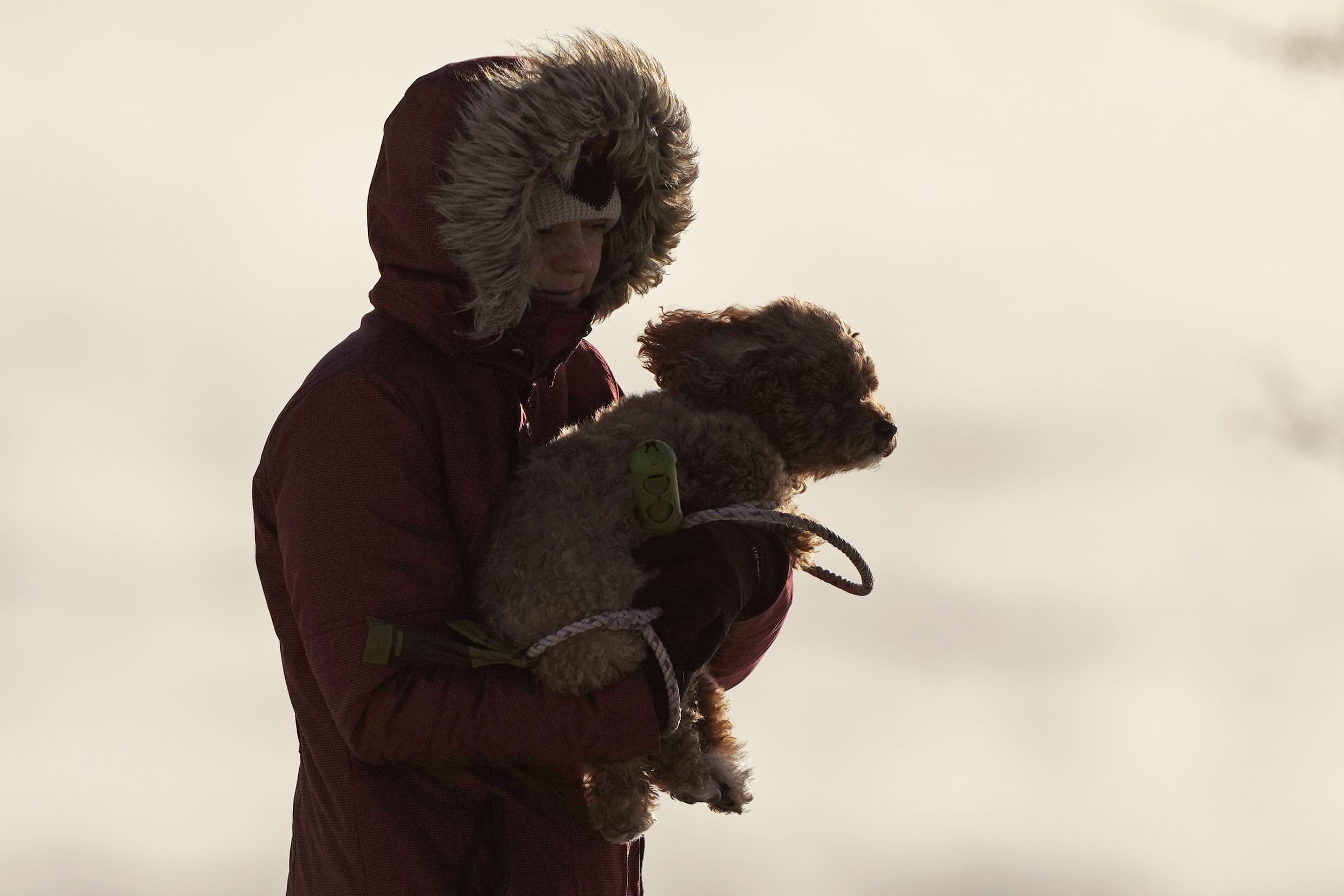 A woman carries her dog in the bitter cold, Saturday, Feb. 4, 2023, in Portland, Maine. (Robert F. Bukaty/AP)