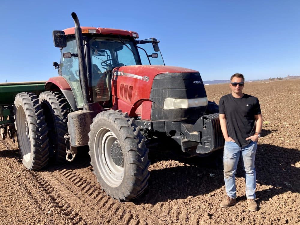 Kirk Dunn is experimenting with a new wheat crop that he hopes will allow him to save water without reducing the yield of his harvest in Yuma, Ariz. (Peter O'Dowd/Here &amp; Now)