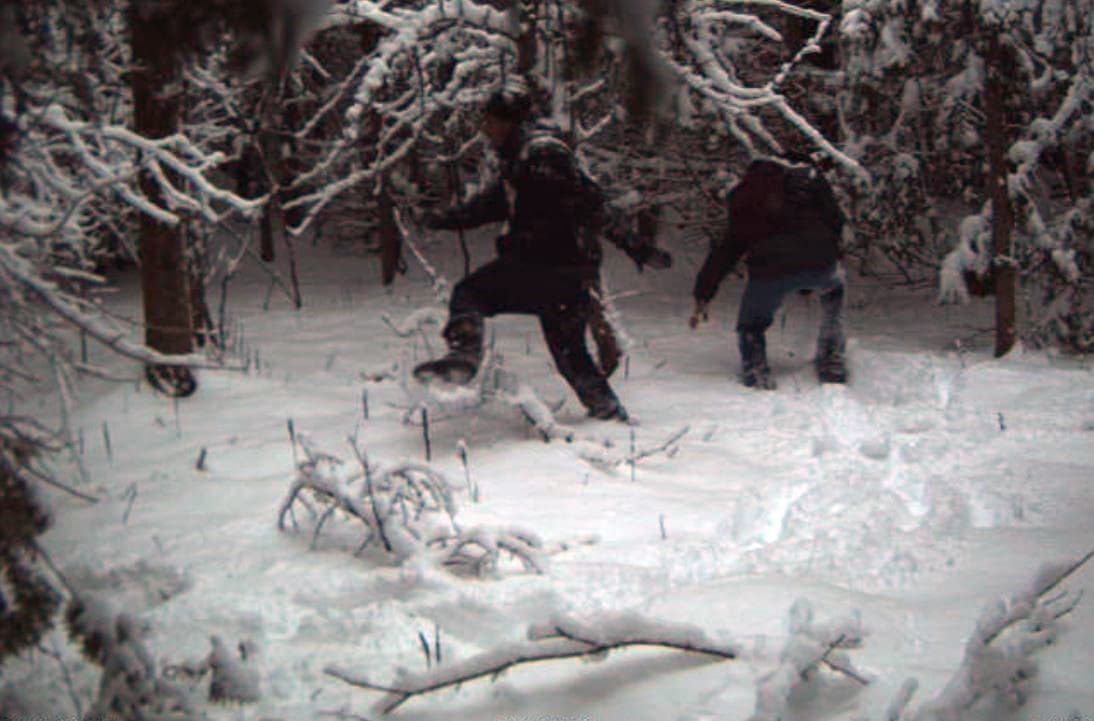 In this surveillance image, two individuals illegally cross the U.S.-Canada border in January 2023 in the Vermont, New Hampshire and New York enforcement sector. (Courtesy U.S. Border Patrol Swanton sector photo via AP)