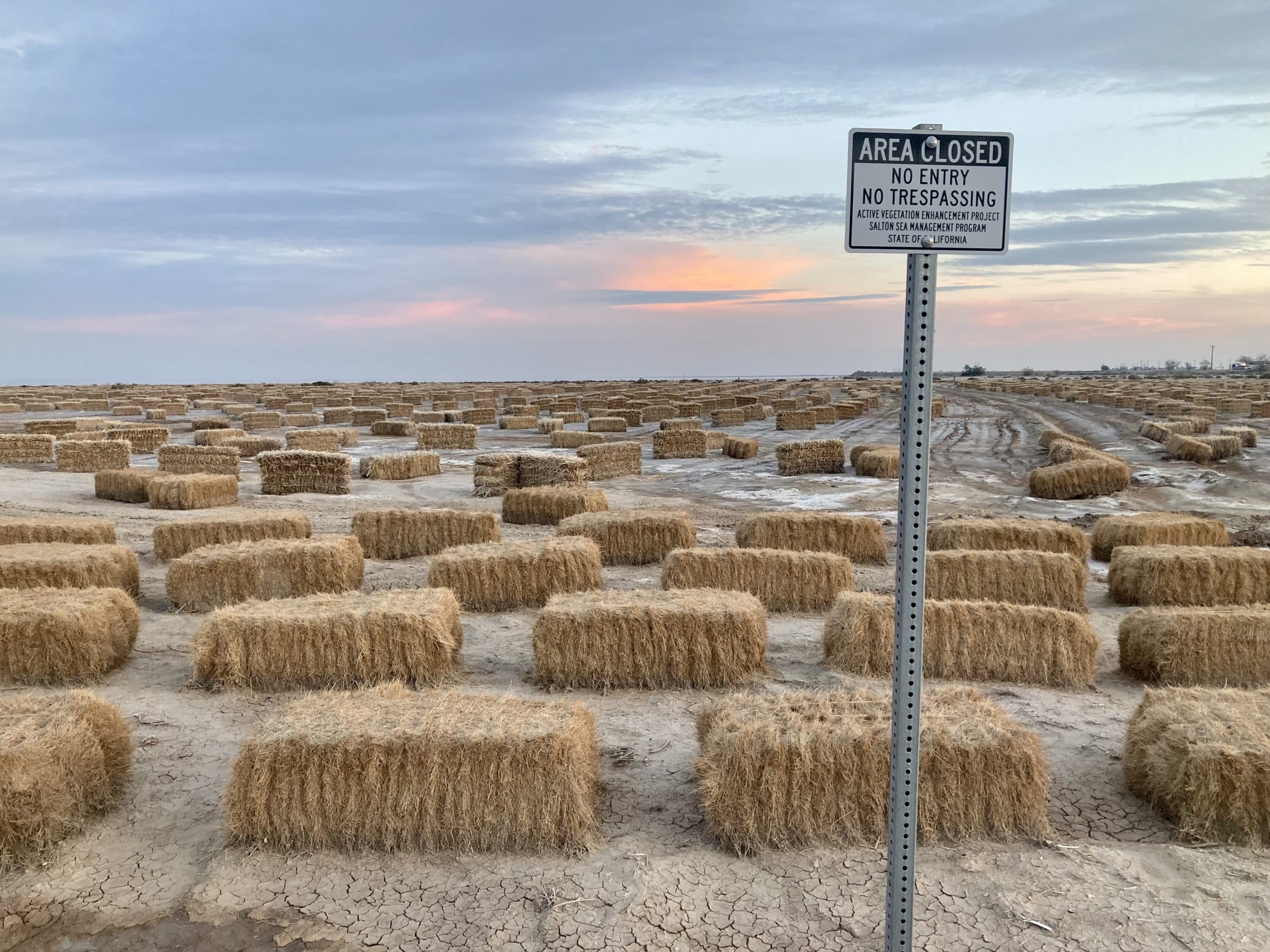 The state of California has started projects to help stabilize the Salton Sea’s shoreline, including this one near Salton City. The hay bales are designed to interrupt the gusting wind and allow natural vegetation to take root. (Peter O'Dowd/Here &amp; Now)