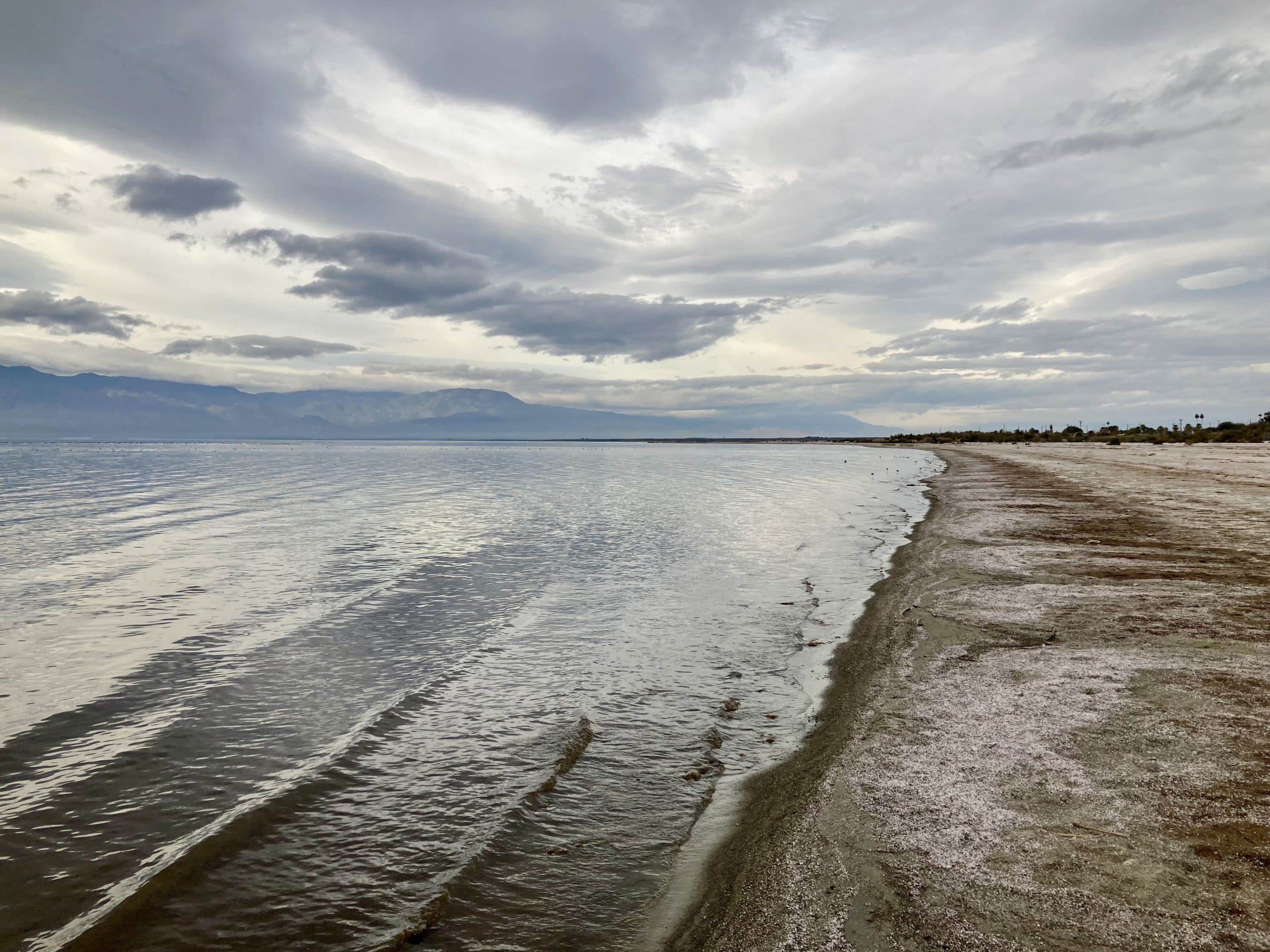 A major drought on the Colorado River is imperling the Salton Sea, California’s largest lake. (Peter O'Dowd/Here &amp; Now)