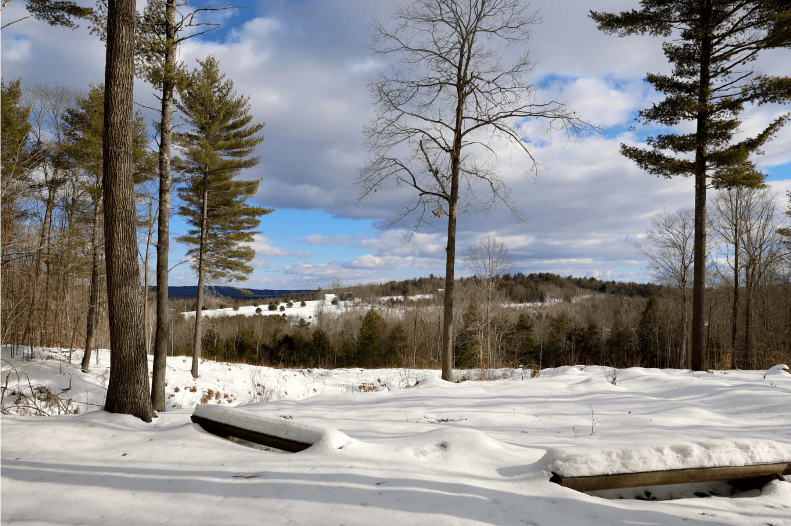 Snow-covered benches at an overlook at the Baldwin Hill Conservation Cemetery. (Esta Pratt-Kielley/Maine Public)
