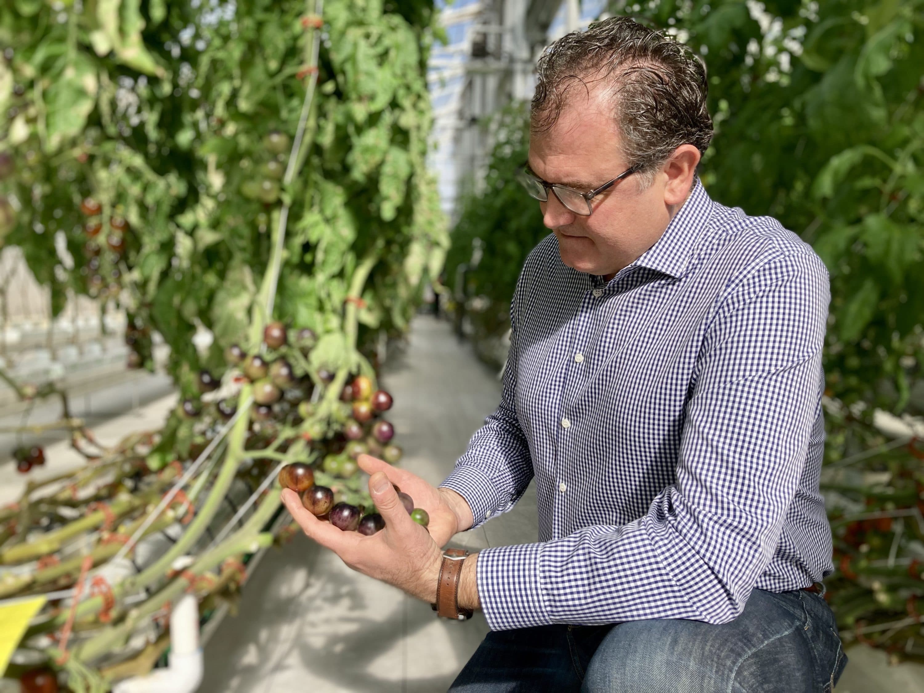 Murat Kacira runs the Controlled Environment Agriculture Center at the University of Arizona. He says indoor agriculture will play a significant role as drought puts more stress on the Colorado River. (Peter O'Dowd/Here &amp; Now)