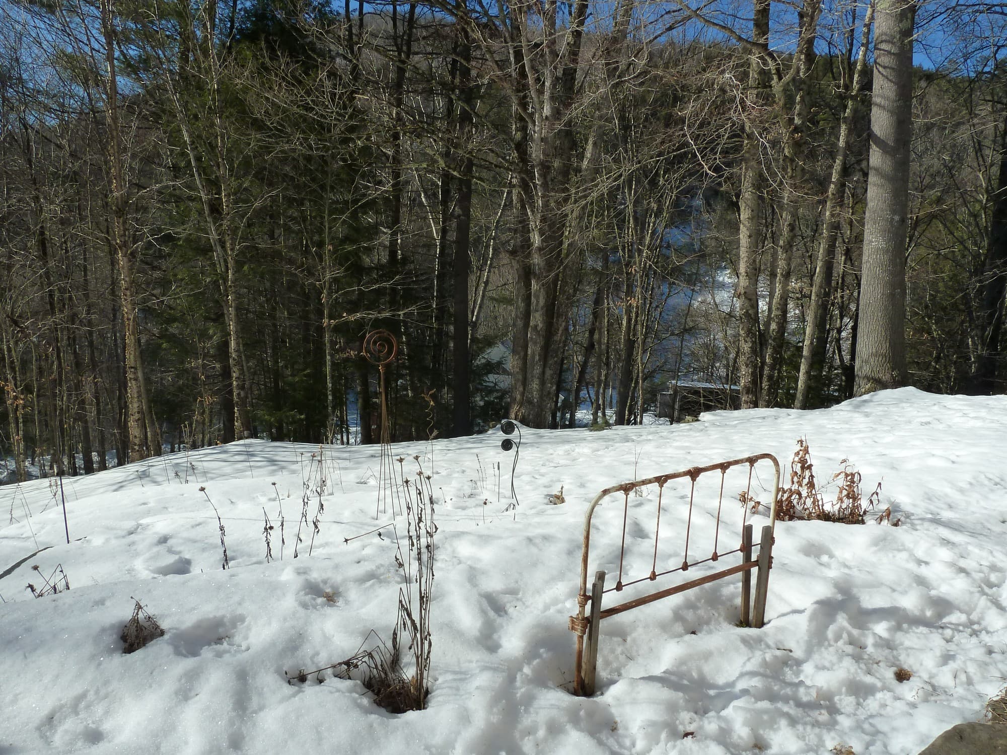 The author's winter garden in Vermont. (Courtesy Liz Vago)