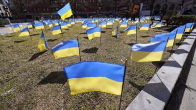 The debate over lifting Ukraine weapons restrictions