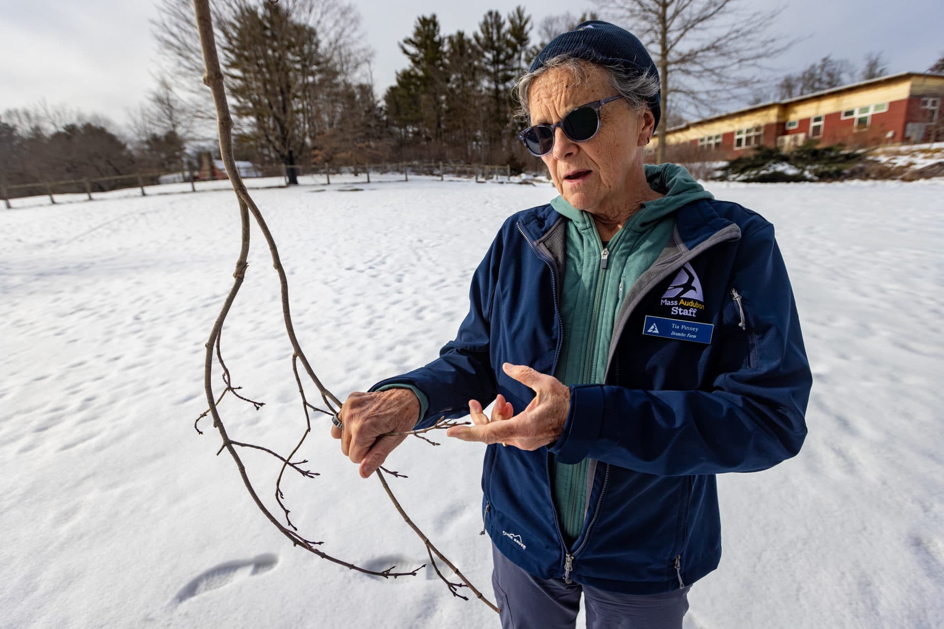 Yes, this winter has been warmer than usual — and we may have to get used to that